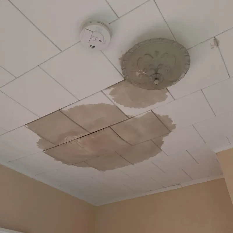 Ceiling Water Damage Repair in Davidson, NC