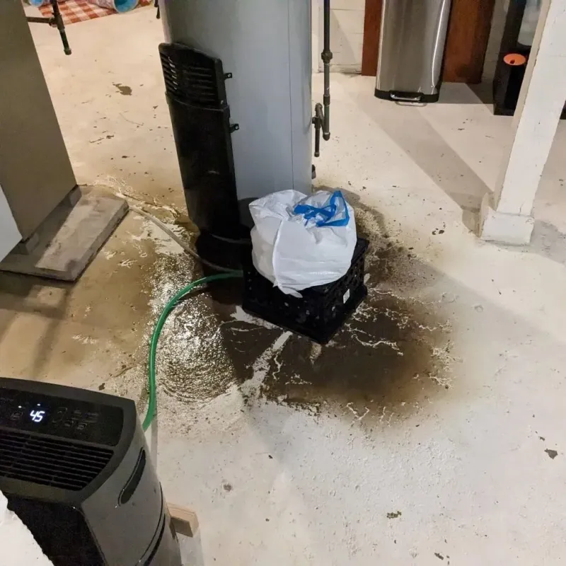Sewage Backup Cleanup Service in Davidson, NC